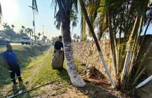 Cocodrilo sale a pasear por boulevard de Acapulco: FOTOS-VIDEO El enorme cocodrilo fue captado por el boulevard de Las Naciones en la Zona Diamante de Acapulco