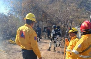 Incendio en Chilpancingo afecta 19 hectáreas; lo liquidan al 100 por ciento La noche del sábado se informó que el incendio en Chilpancingo había sido liquidado al 100 por ciento.