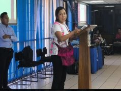 Indígenas de Guerrero temen exclusión y corrupción en la entrega de apoyos del FAIS Comunidad amuzga acusó que en han sido excluidas, a pesar de contar con reconocimiento del Instituto Nacional de los Pueblos Indígenas