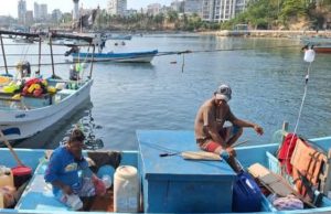 Rescatan de altamar a dos tiburoneros cerca de Acapulco La embarcación fue ubicada, con dos tripulantes dedicados a la pesca tiburonera, aproximadamente a 35 millas náuticas del puerto de Acapulco.