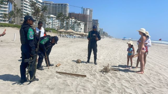 La Policía Ecológica Estatal siguió el protocolo de rescate de tortuga marina en Acapulco
